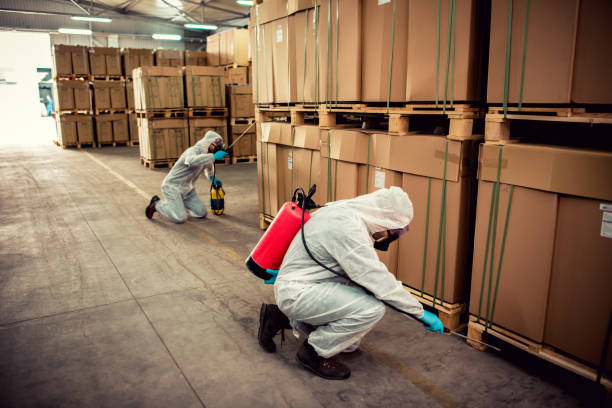 Best Residential Pest Control  in Neoga, IL