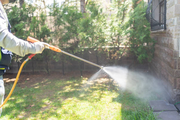 Best Insect Control  in Neoga, IL